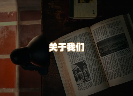 关于昭瑞电子书
